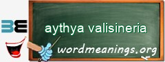 WordMeaning blackboard for aythya valisineria